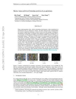 Non-negative Contrastive Learning