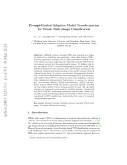 Prompt-Guided Adaptive Model Transformation for Whole Slide Image
  Classification