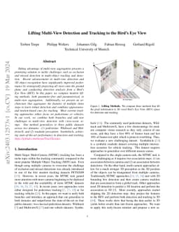 Lifting Multi-View Detection and Tracking to the Bird's Eye View