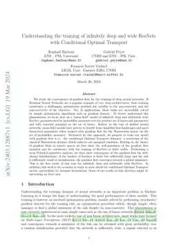 Understanding the training of infinitely deep and wide ResNets with
  Conditional Optimal Transport