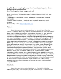 Segment Anything for comprehensive analysis of grapevine cluster
  architecture and berry properties
