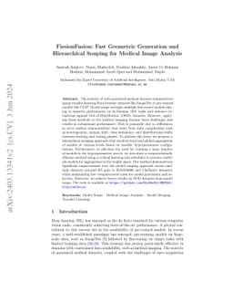 FissionFusion: Fast Geometric Generation and Hierarchical Souping for
  Medical Image Analysis