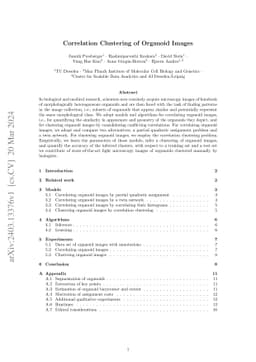 Correlation Clustering of Organoid Images