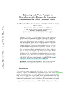 Enhancing Gait Video Analysis in Neurodegenerative Diseases by Knowledge
  Augmentation in Vision Language Model