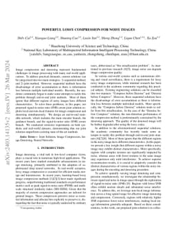 Powerful Lossy Compression for Noisy Images