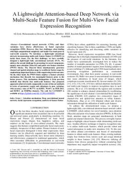 A Lightweight Attention-based Deep Network via Multi-Scale Feature Fusion for Multi-View Facial Expression Recognition
