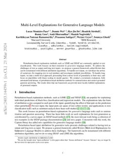 Multi-Level Explanations for Generative Language Models