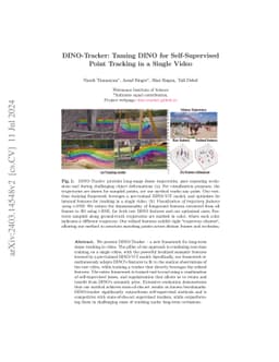 DINO-Tracker: Taming DINO for Self-Supervised Point Tracking in a Single
  Video