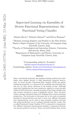 Supervised Learning via Ensembles of Diverse Functional Representations:
  the Functional Voting Classifier