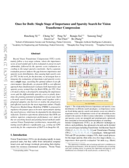 Once for Both: Single Stage of Importance and Sparsity Search for Vision
  Transformer Compression