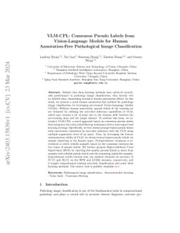 VLM-CPL: Consensus Pseudo Labels from Vision-Language Models for Human
  Annotation-Free Pathological Image Classification