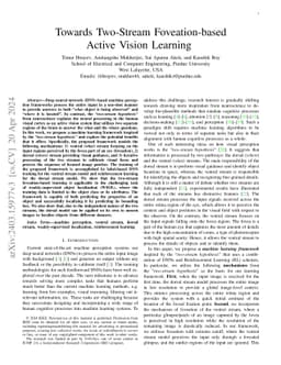 Towards Two-Stream Foveation-based Active Vision Learning