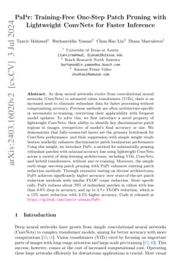 PaPr: Training-Free One-Step Patch Pruning with Lightweight ConvNets for
  Faster Inference