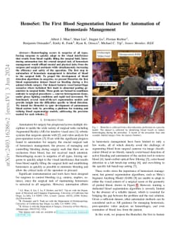 HemoSet: The First Blood Segmentation Dataset for Automation of
  Hemostasis Management