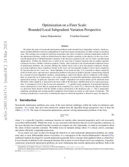 Optimization on a Finer Scale: Bounded Local Subgradient Variation
  Perspective