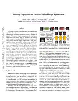 Clustering Propagation for Universal Medical Image Segmentation