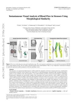 Instantaneous Visual Analysis of Blood Flow in Stenoses Using
  Morphological Similarity