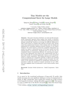 Tiny Models are the Computational Saver for Large Models