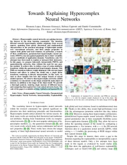 Towards Explaining Hypercomplex Neural Networks
