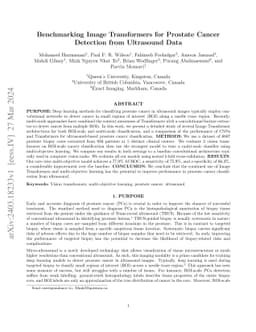 Benchmarking Image Transformers for Prostate Cancer Detection from
  Ultrasound Data