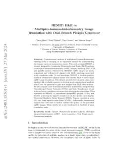 HEMIT: H&E to Multiplex-immunohistochemistry Image Translation with
  Dual-Branch Pix2pix Generator