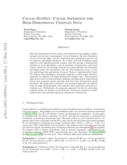 Causal-StoNet: Causal Inference for High-Dimensional Complex Data
