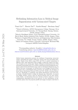 Rethinking Information Loss in Medical Image Segmentation with
  Various-sized Targets