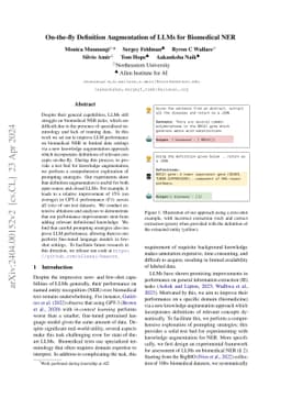 On-the-fly Definition Augmentation of LLMs for Biomedical NER
