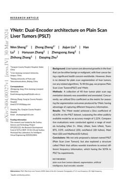 YNetr: Dual-Encoder architecture on Plain Scan Liver Tumors (PSLT)