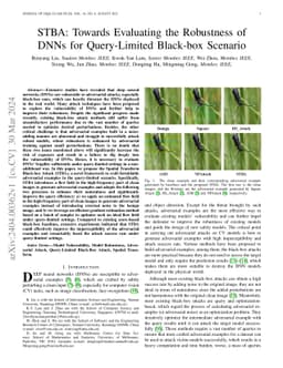 STBA: Towards Evaluating the Robustness of DNNs for Query-Limited
  Black-box Scenario