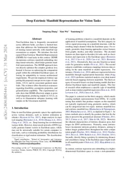 Deep Extrinsic Manifold Representation for Vision Tasks