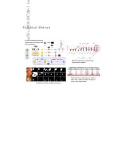 MugenNet: A Novel Combined Convolution Neural Network and Transformer
  Network with its Application for Colonic Polyp Image Segmentation