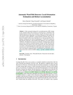 Automatic Wood Pith Detector: Local Orientation Estimation and Robust
  Accumulation