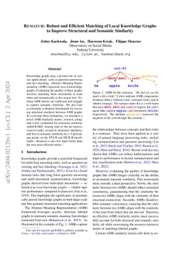 Rematch: Robust and Efficient Matching of Local Knowledge Graphs to
  Improve Structural and Semantic Similarity