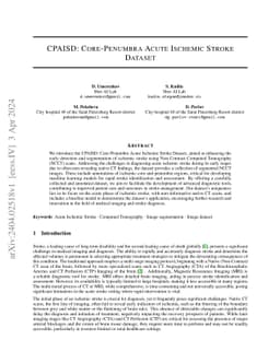 CPAISD: Core-penumbra acute ischemic stroke dataset