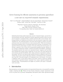 Active learning for efficient annotation in precision agriculture: a
  use-case on crop-weed semantic segmentation