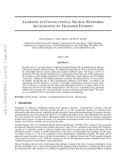 Learning in Convolutional Neural Networks Accelerated by Transfer
  Entropy