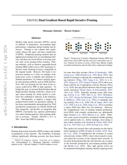 DRIVE: Dual Gradient-Based Rapid Iterative Pruning