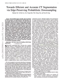 Towards Efficient and Accurate CT Segmentation via Edge-Preserving
  Probabilistic Downsampling