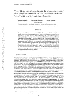 What Happens When Small Is Made Smaller? Exploring the Impact of
  Compression on Small Data Pretrained Language Models
