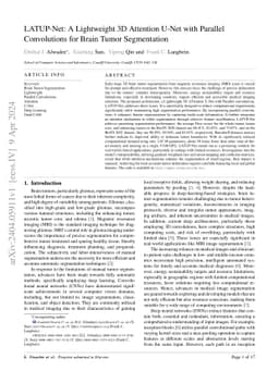 LATUP-Net: A Lightweight 3D Attention U-Net with Parallel Convolutions
  for Brain Tumor Segmentation