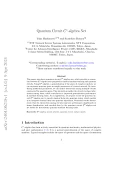 Quantum Circuit $C^*$-algebra Net