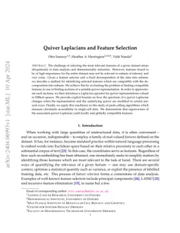 Quiver Laplacians and Feature Selection