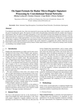 On Input Formats for Radar Micro-Doppler Signature Processing by
  Convolutional Neural Networks