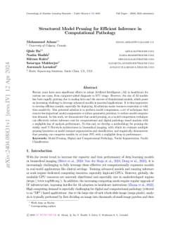 Structured Model Pruning for Efficient Inference in Computational
  Pathology
