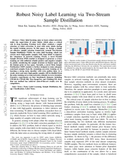 Robust Noisy Label Learning via Two-Stream Sample Distillation
