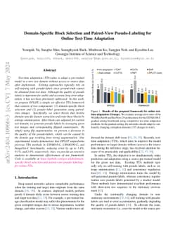 Domain-Specific Block Selection and Paired-View Pseudo-Labeling for
  Online Test-Time Adaptation