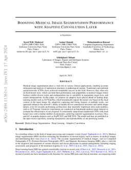 Boosting Medical Image Segmentation Performance with Adaptive
  Convolution Layer