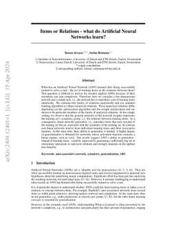 Items or Relations -- what do Artificial Neural Networks learn?