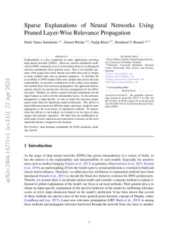 Sparse Explanations of Neural Networks Using Pruned Layer-Wise Relevance
  Propagation
